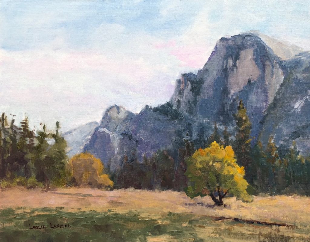 Yosemite Half Dome and Elm Tree