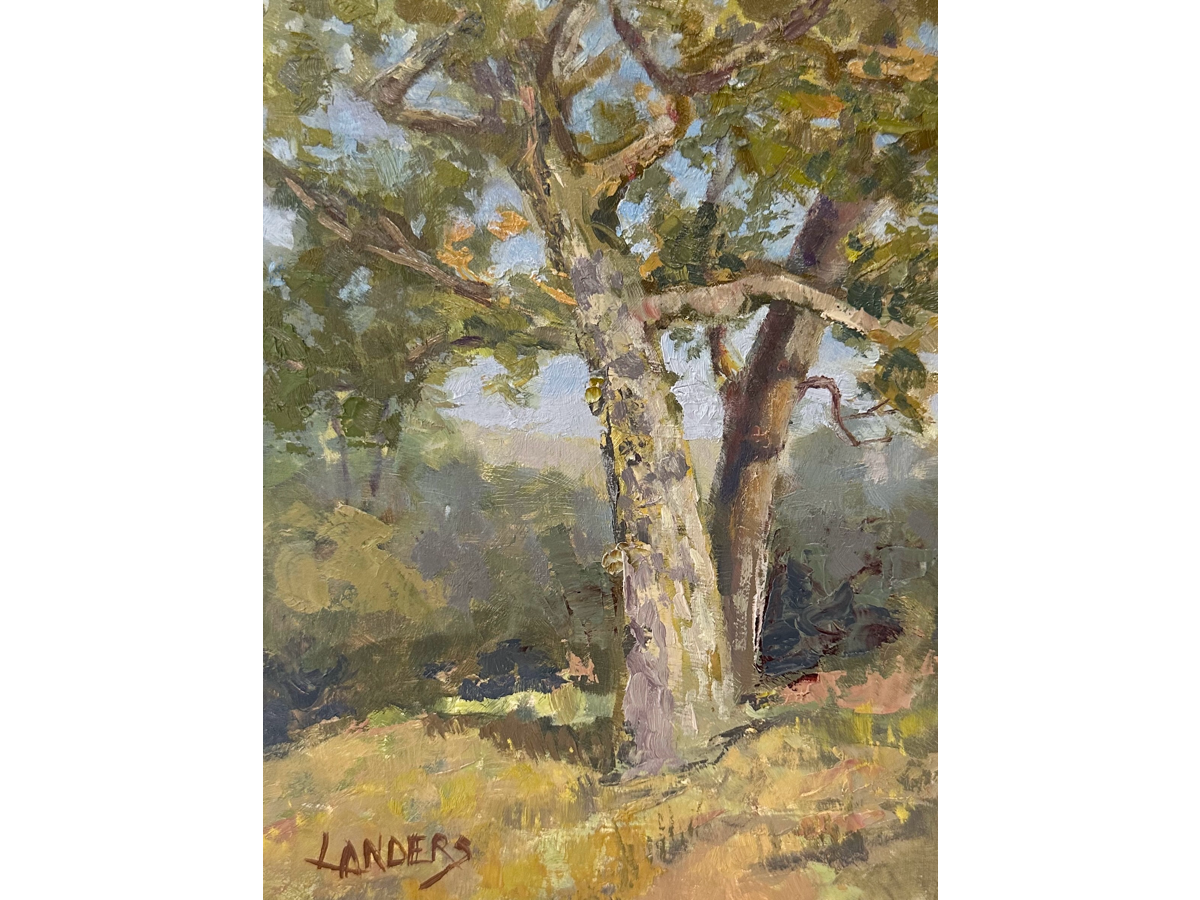 Mariposa Oaks