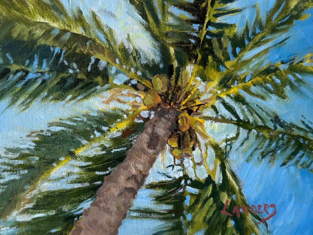 South Pacific Coconut Palm