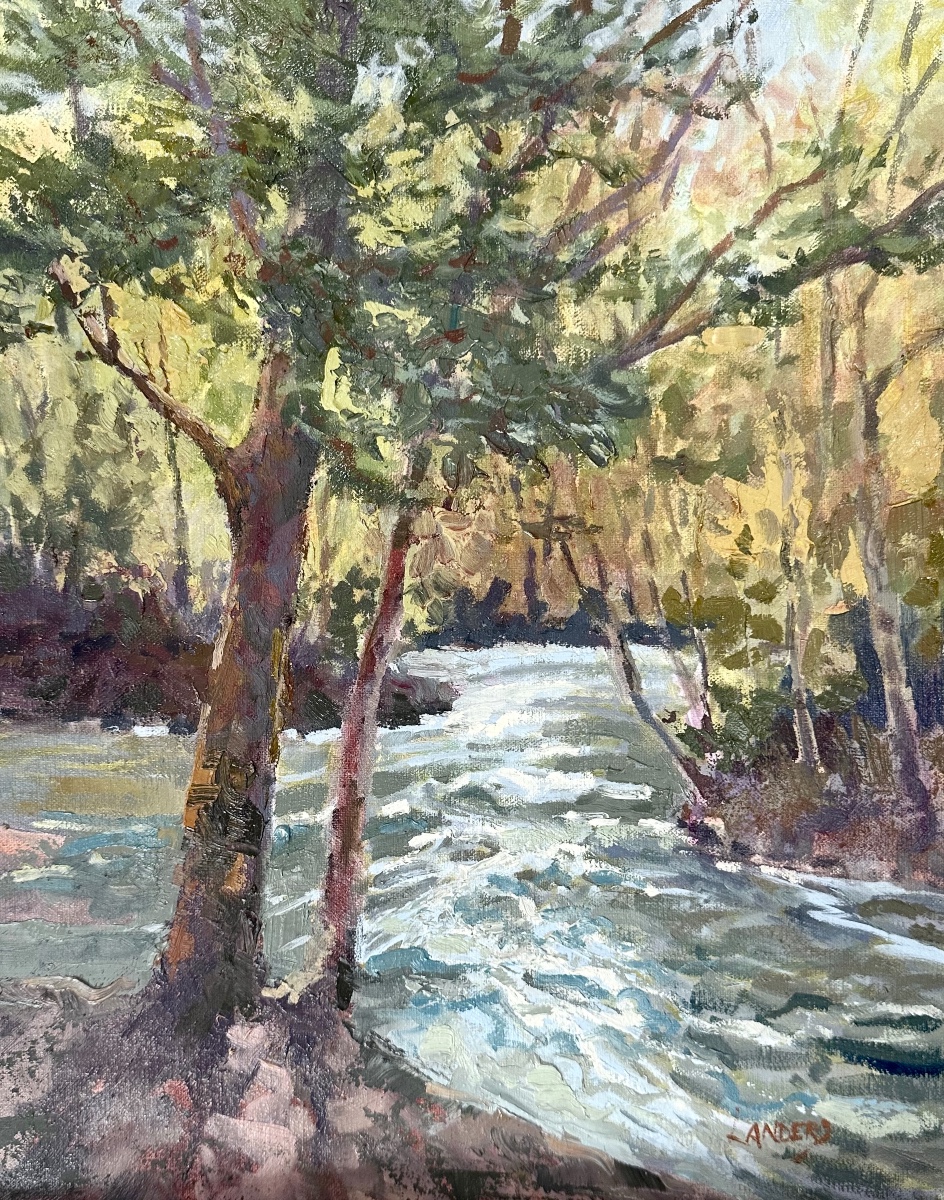 Steven's Creek in early spring