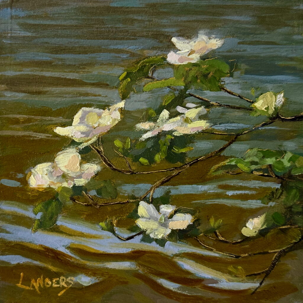 Tenaya Creek Spromgto,e