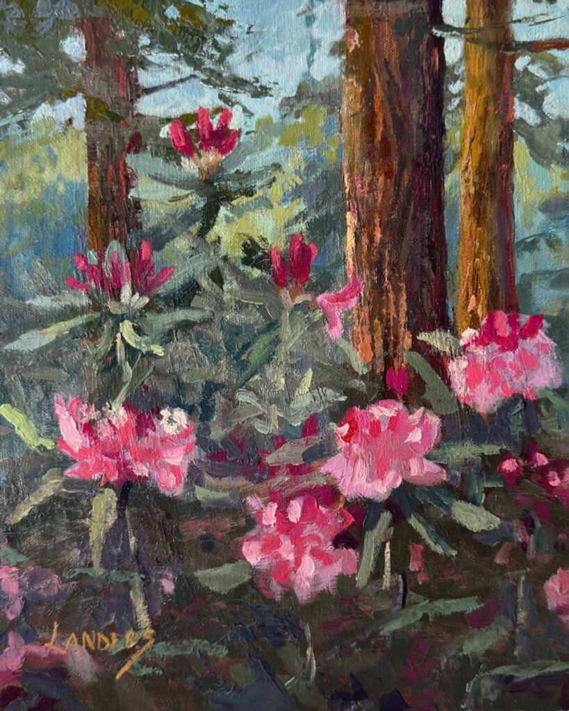 Flowers under redwoods