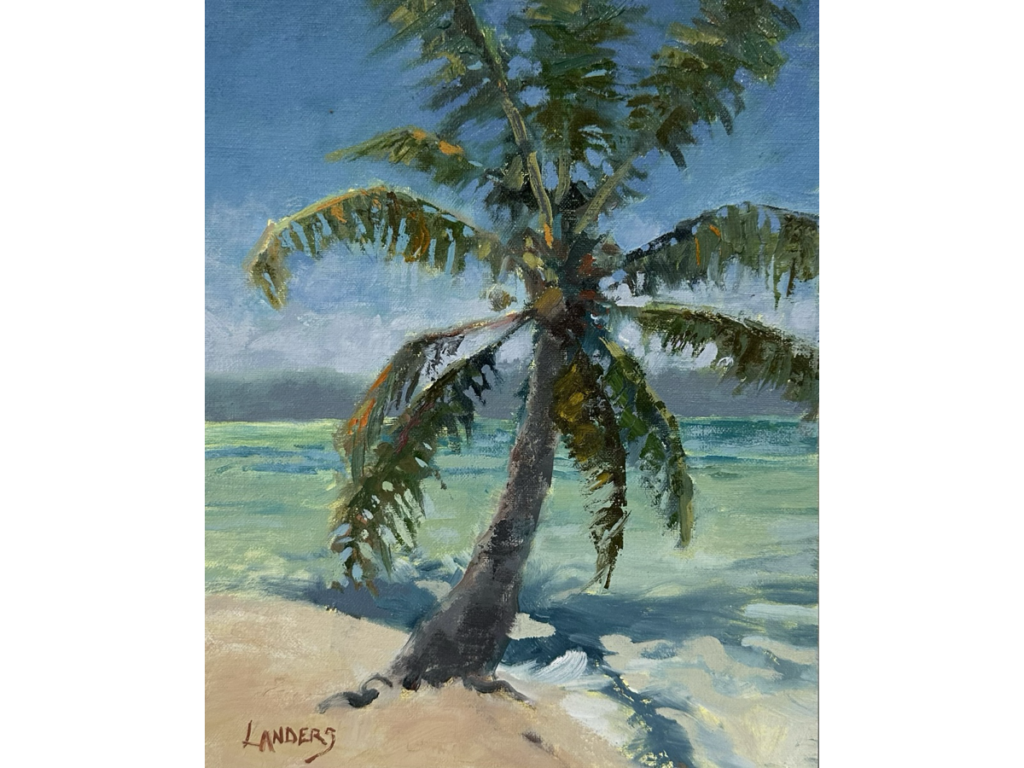 Fiji Palm Tree