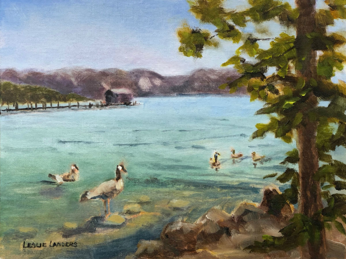 Lake Tahoe Geese