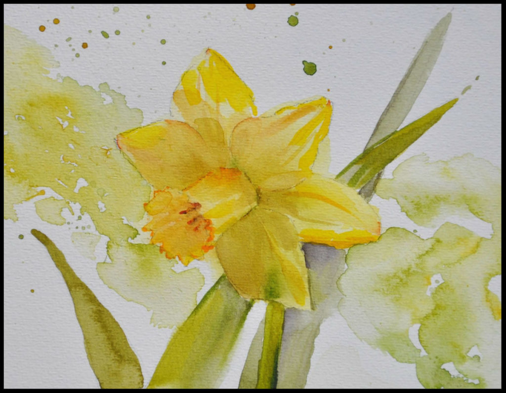 watercolor daffodil
