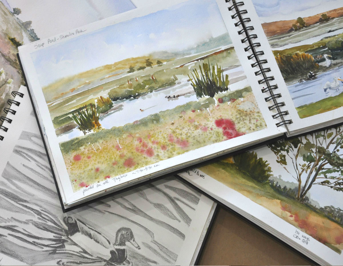 Watercolor sketches from the Shoreline Slough area