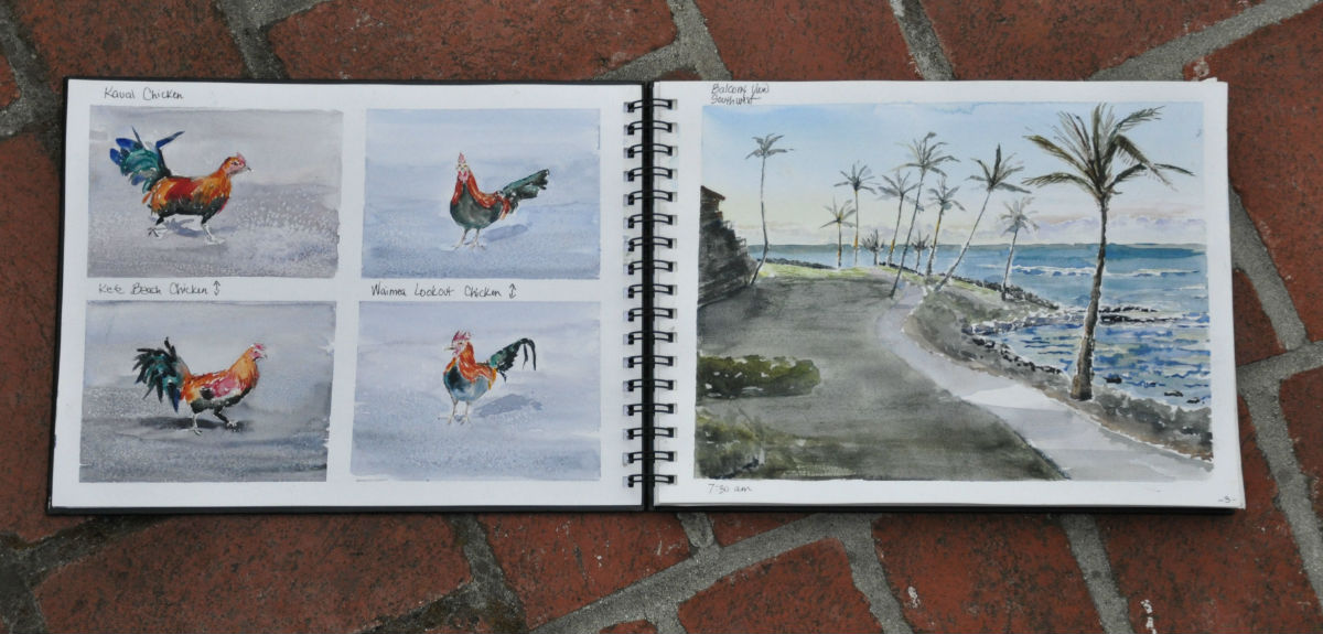 sketchbook-kauai-2