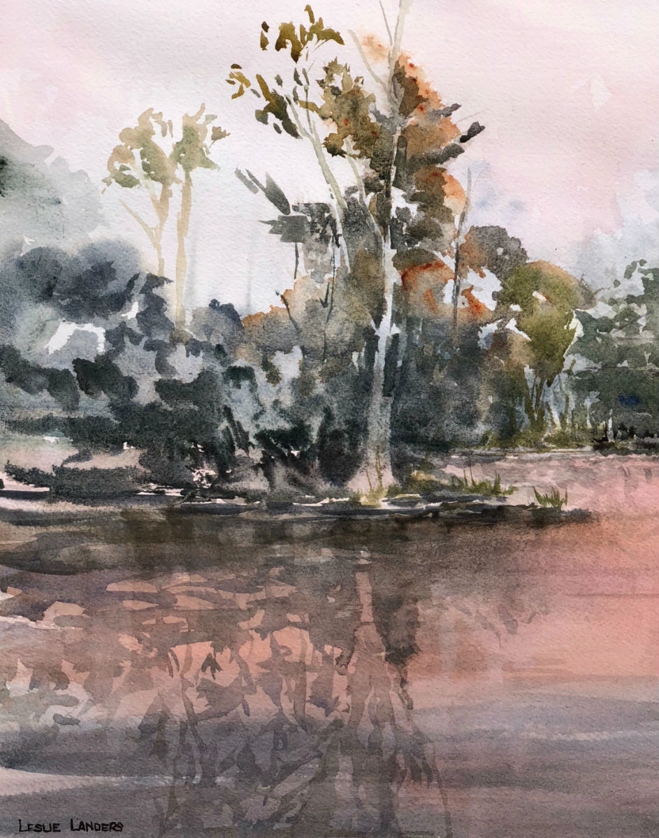Vasona Park Trees