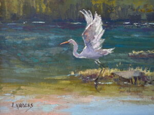 Arriving Egret