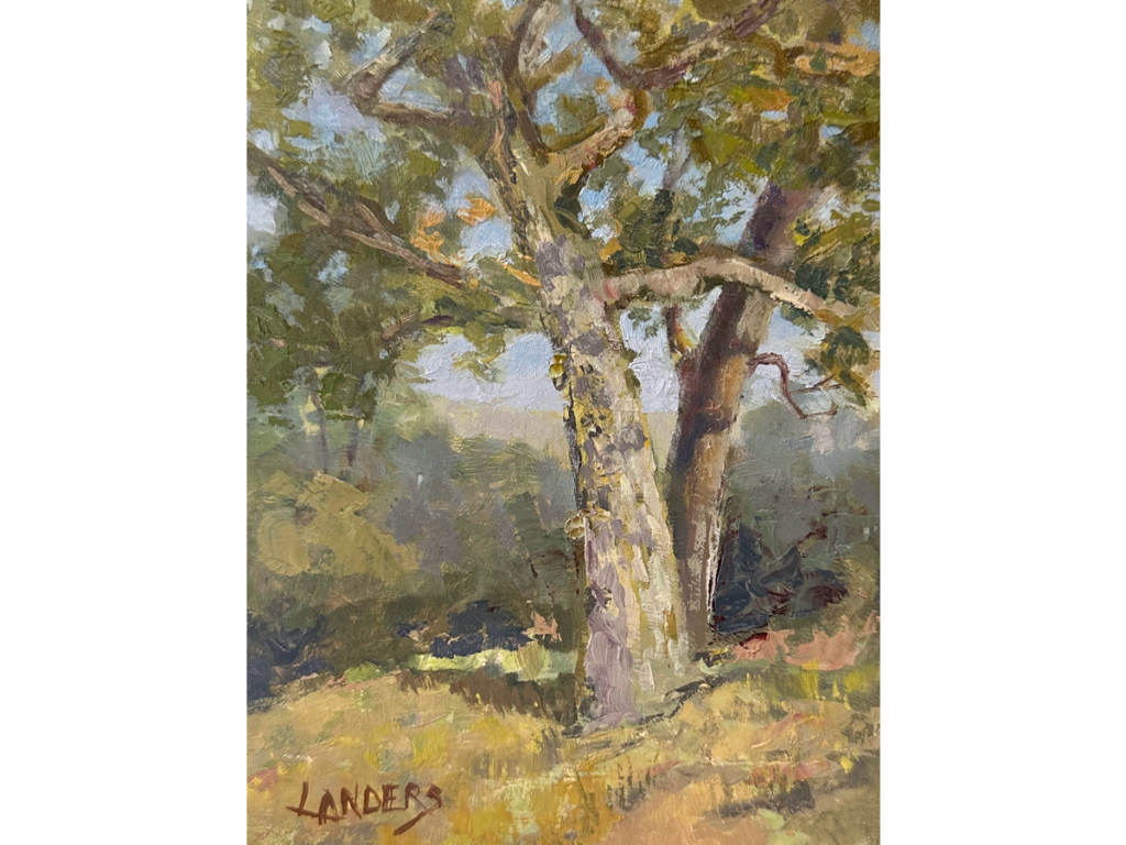 Mariposa Oaks