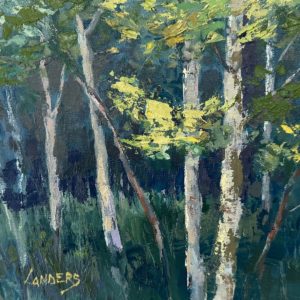 Exuberant Aspen