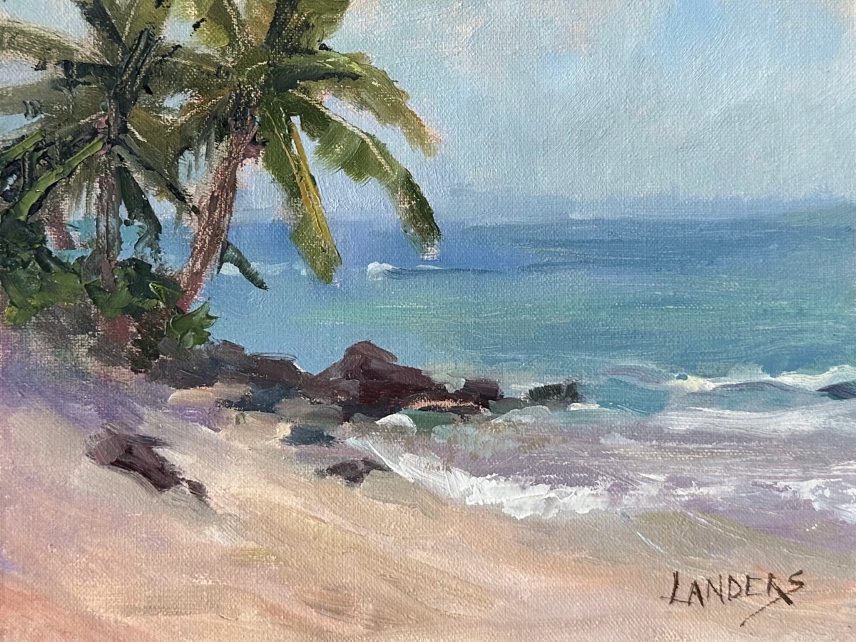 Beach Plms Kauai