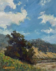 Hillside Oak