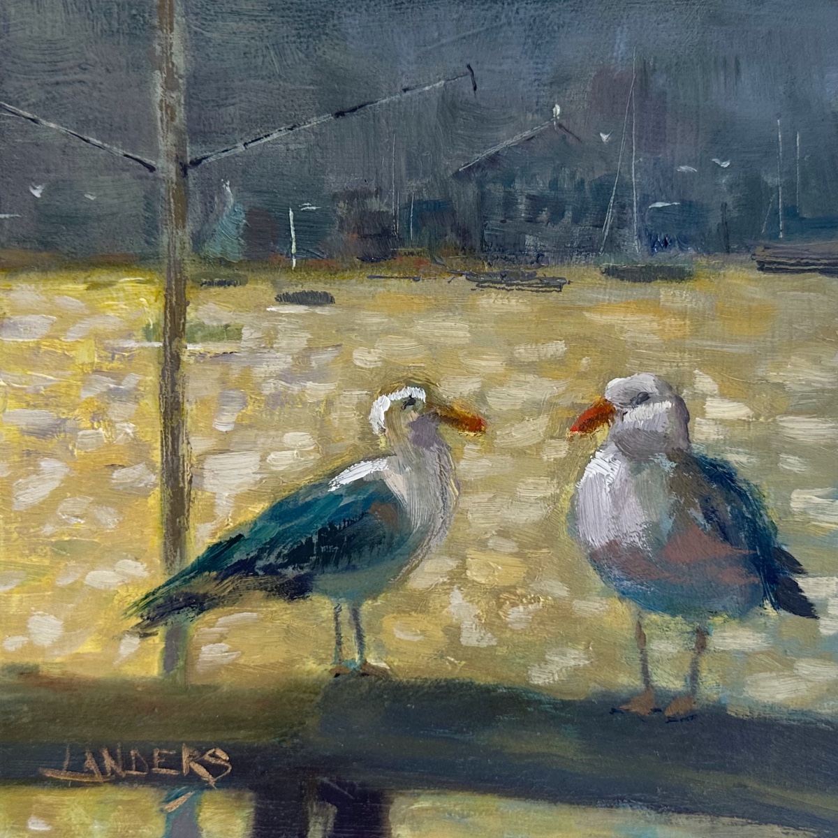 Half Moon Bay Seagulls