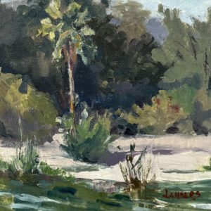 Lakeside Palm Tree