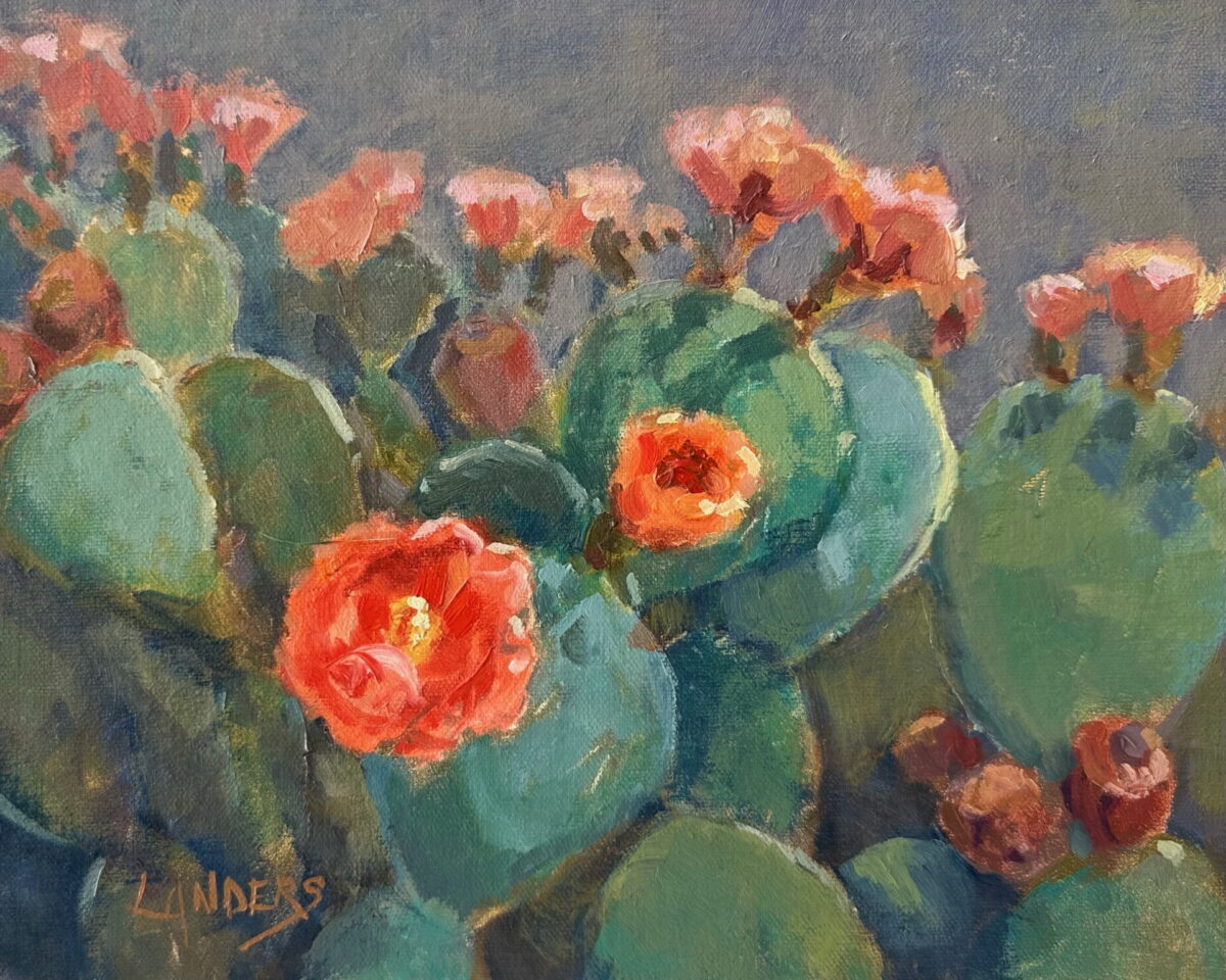 Mariposa cactus