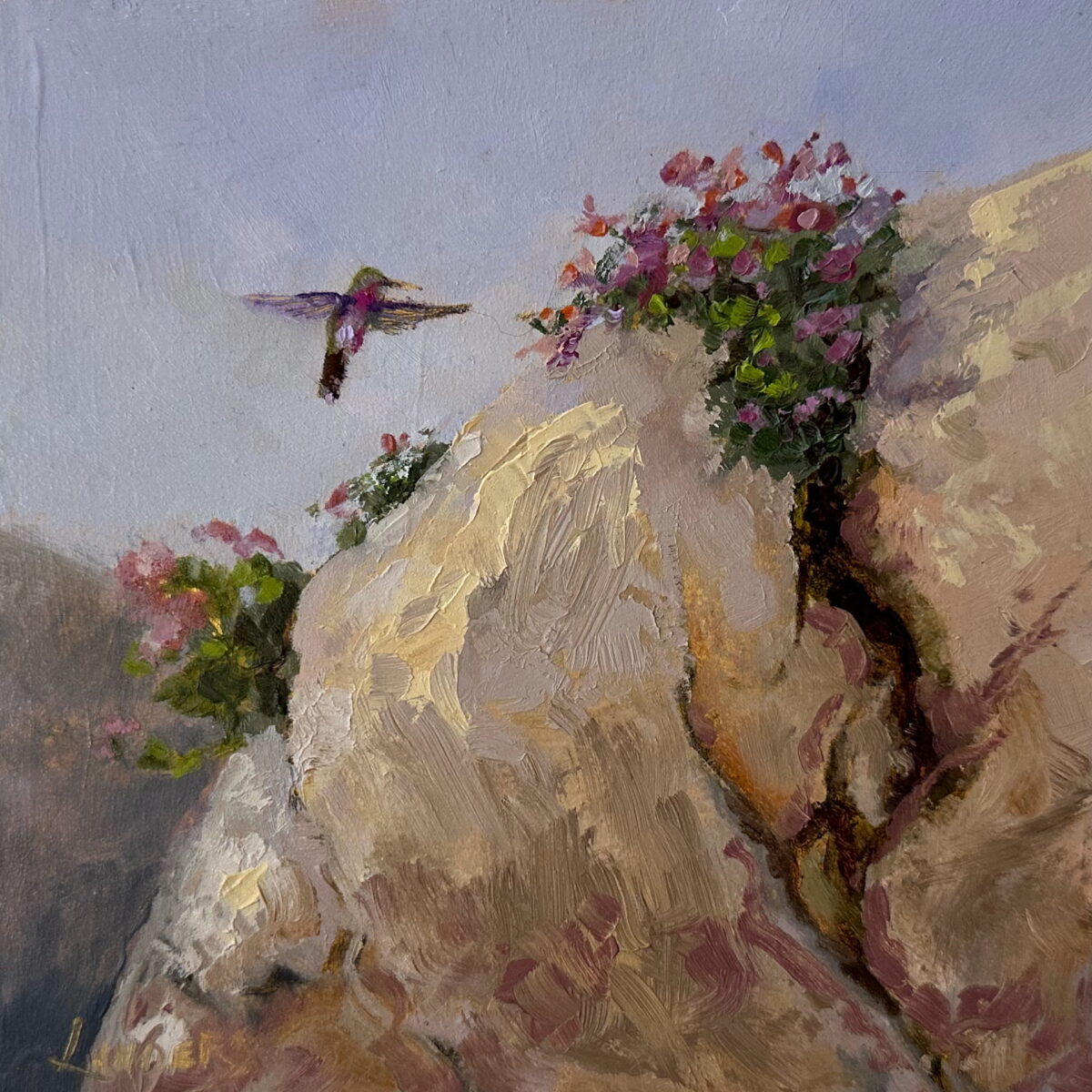 Penstemon and hummingbird
