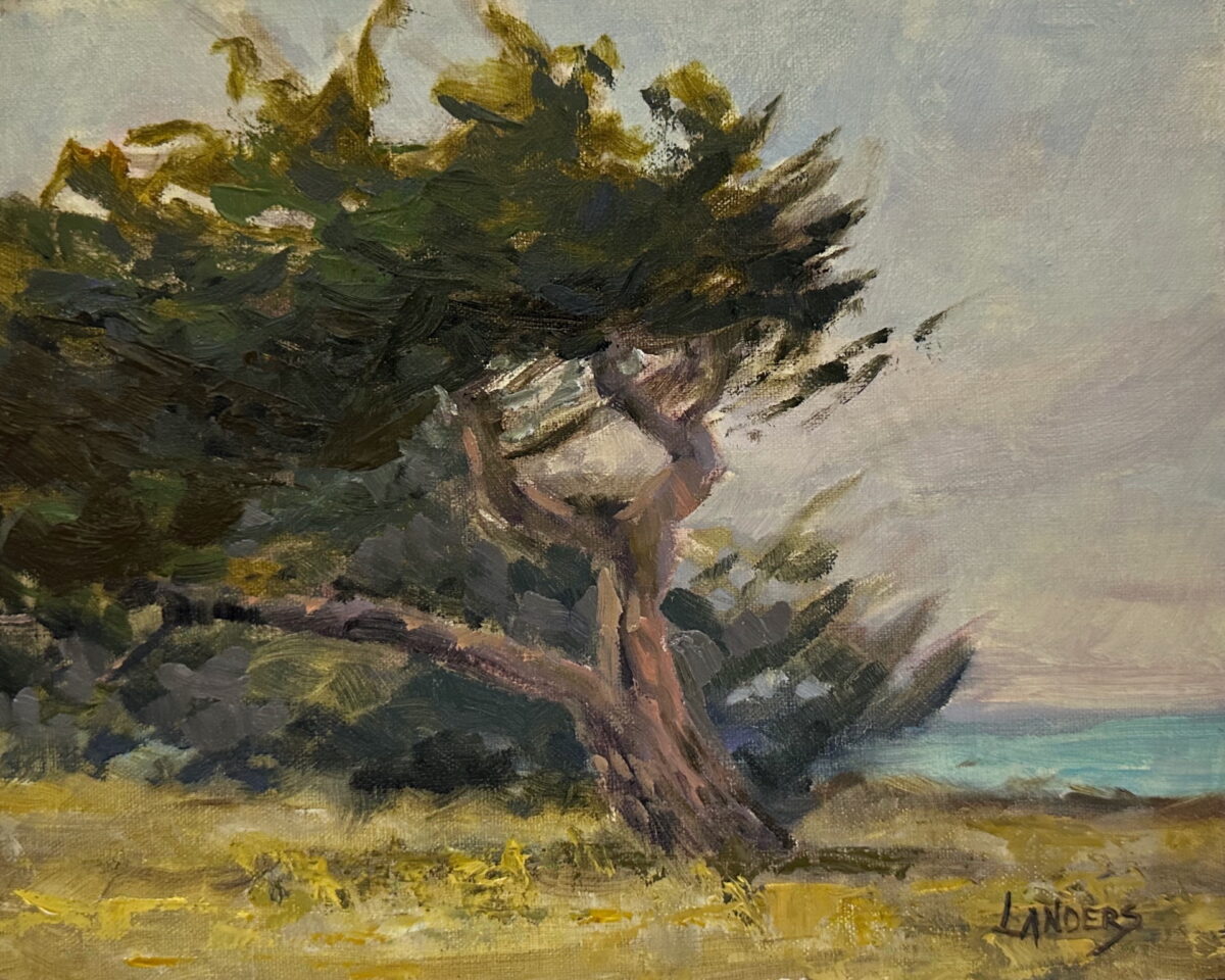 Table Bluff Cypress