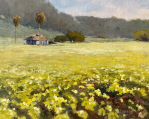 Early Spring, Half Moon Bay