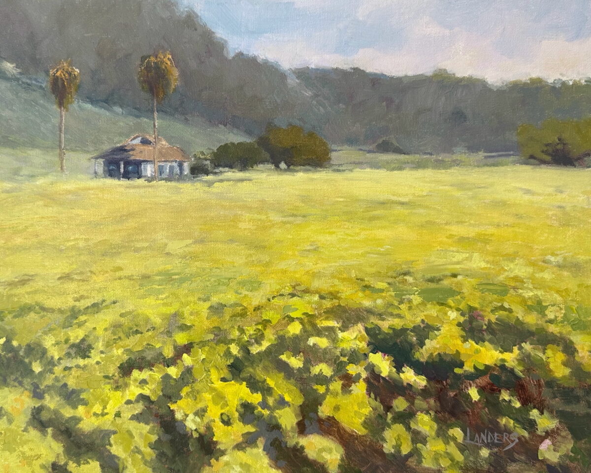 Coastal Mustard Field