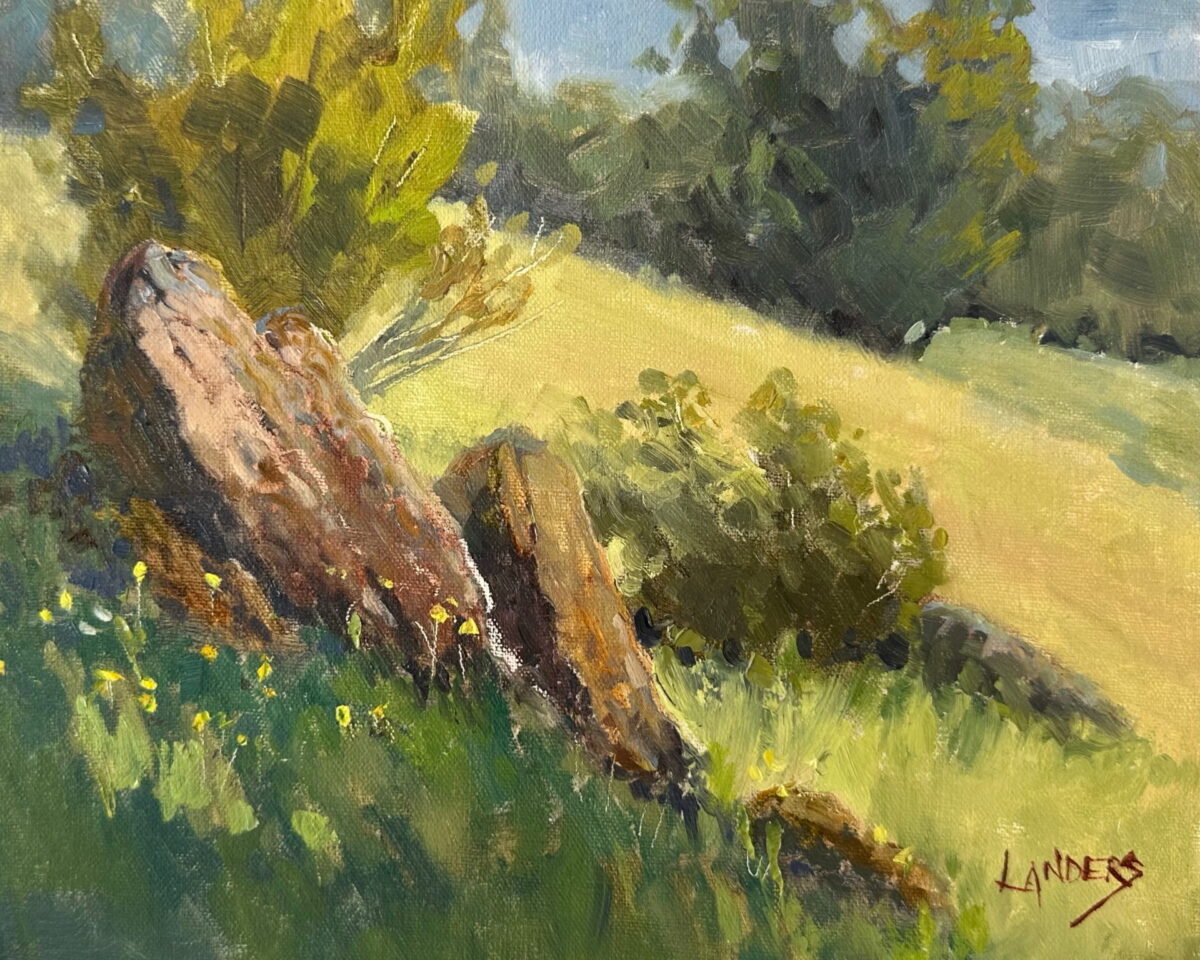 Rocky Slope