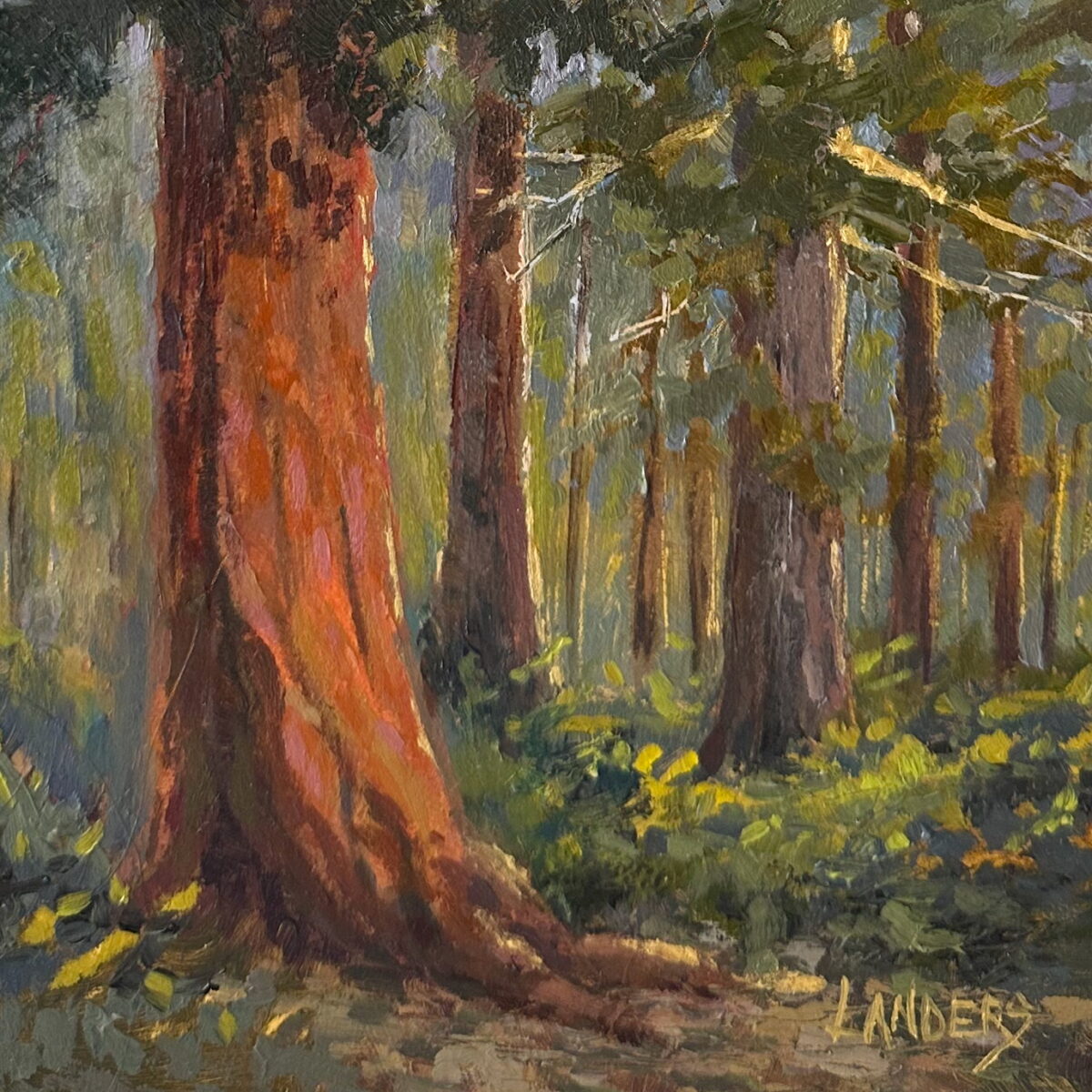 Mariposa Grove (Lower)
