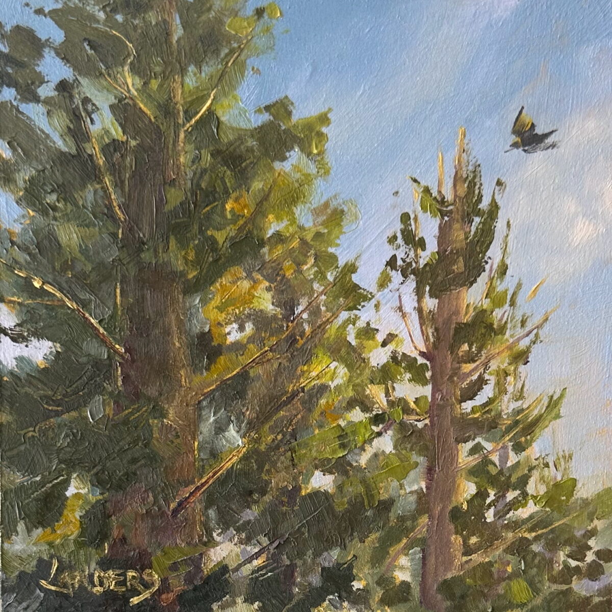 Mariposa Grove (Upper)