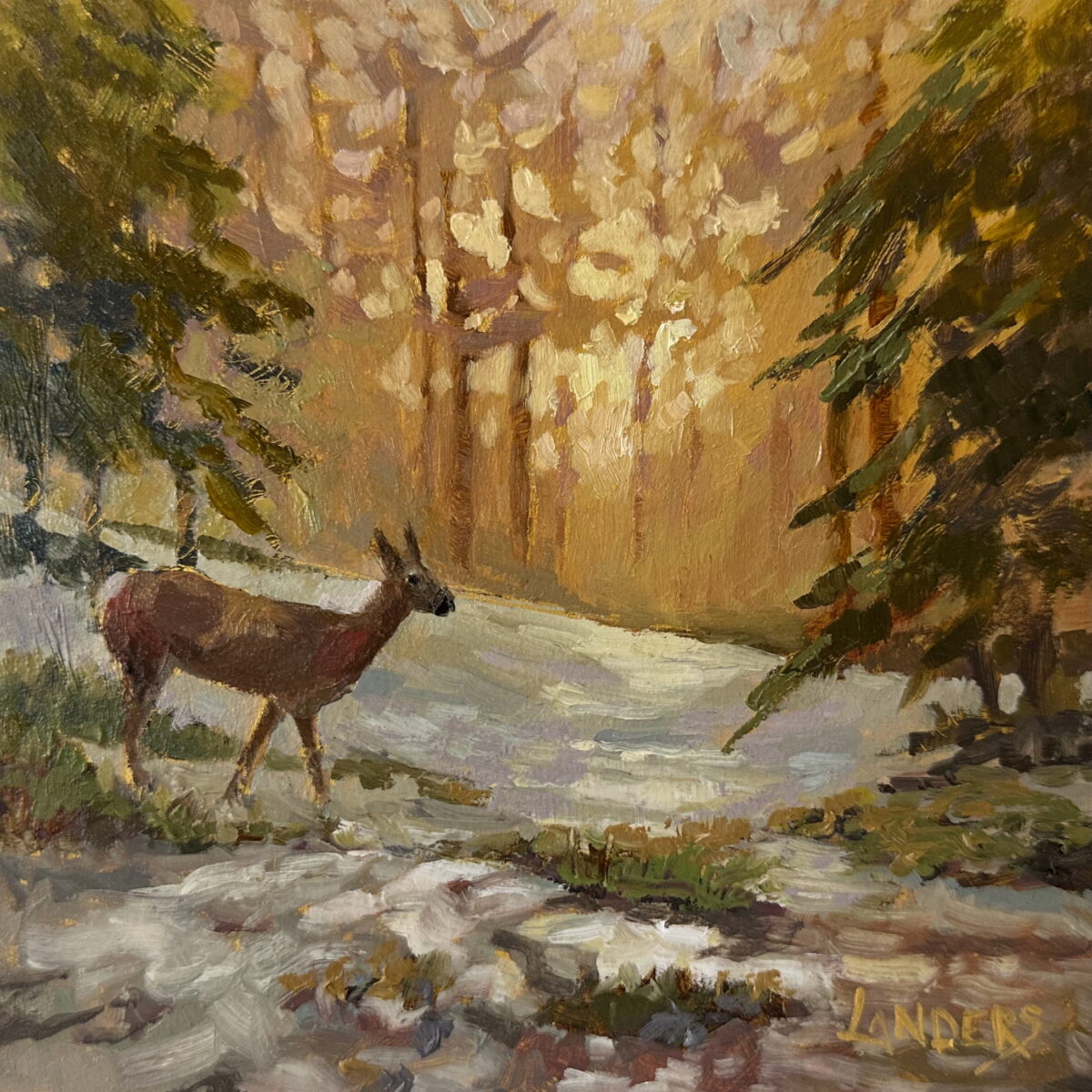 High Country Winter