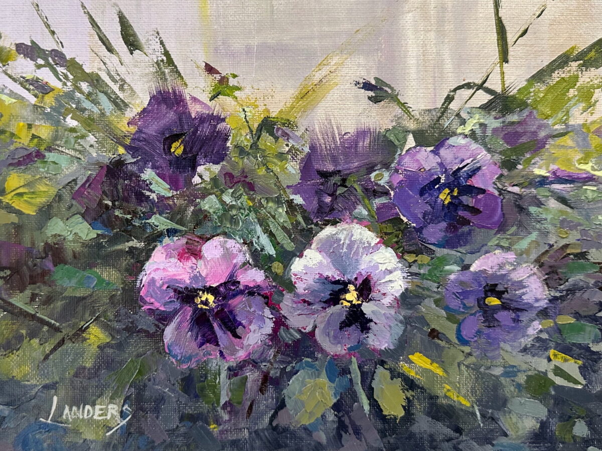 Pansy explosion