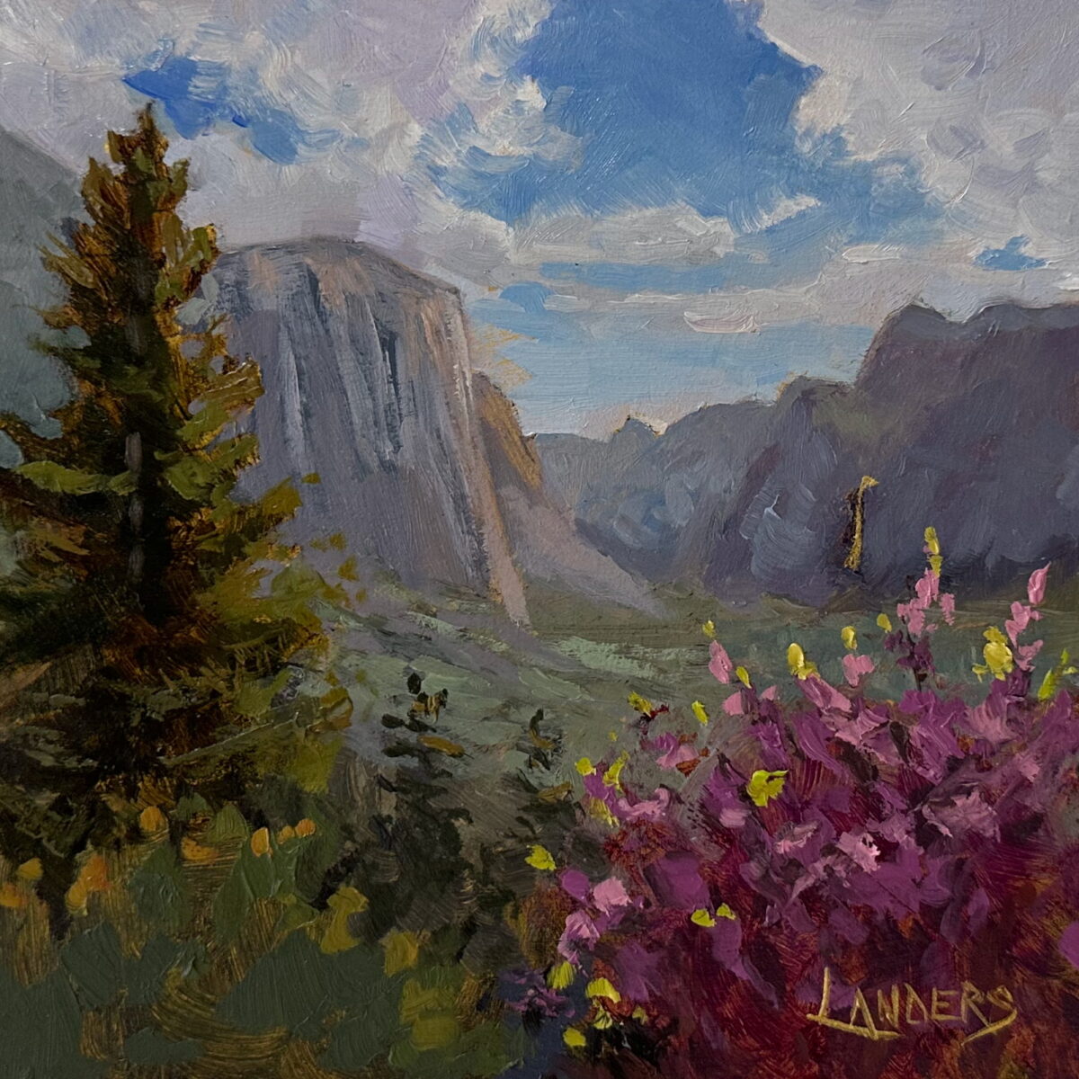 Tunnel view April