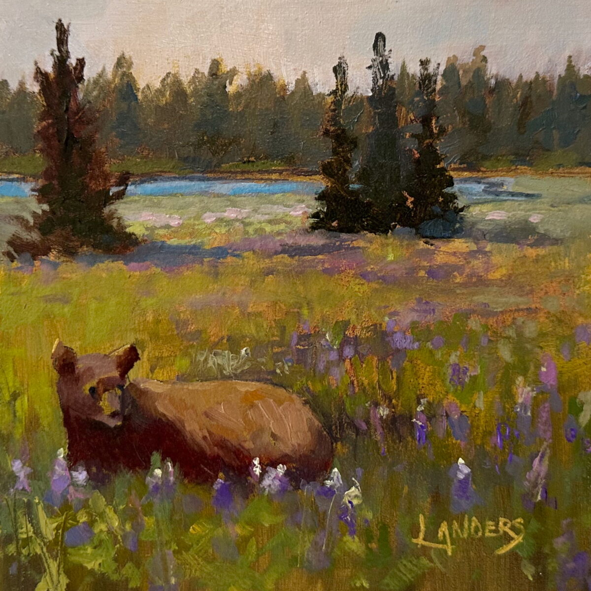 Brown Bear in Yosemite