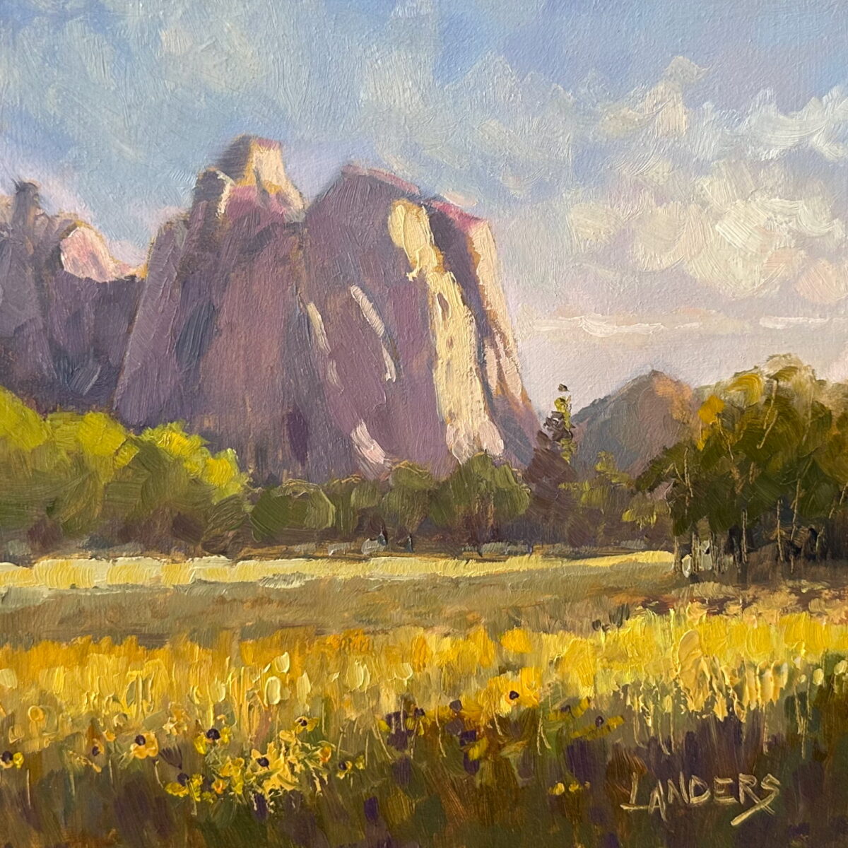 Yosemite Summer