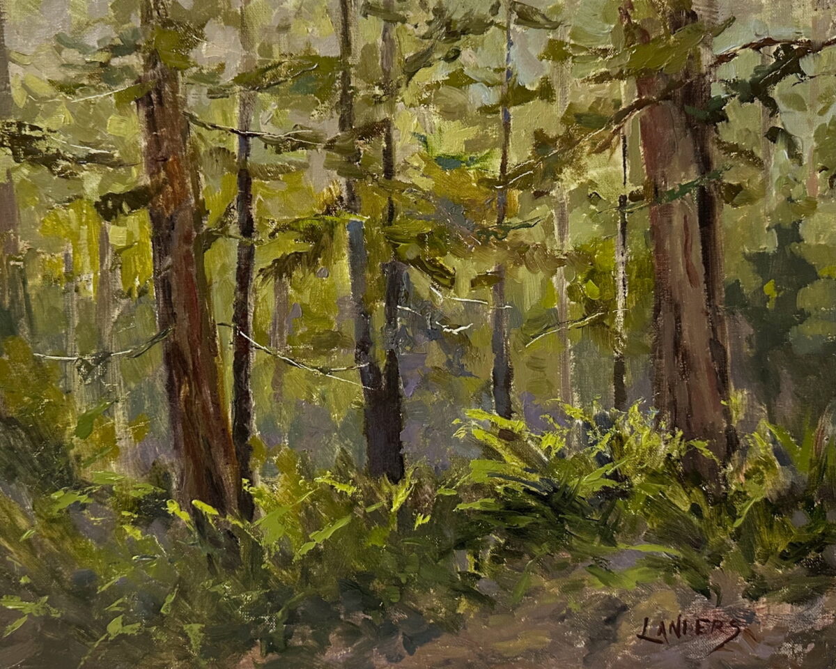 Arcata Redwood Forest