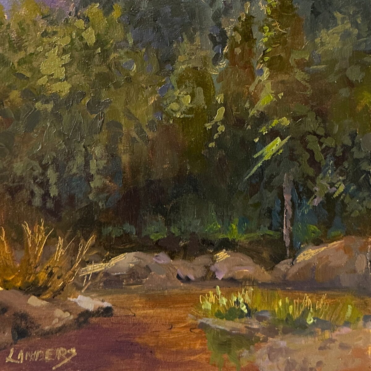 Merced River beneath the Rostrum