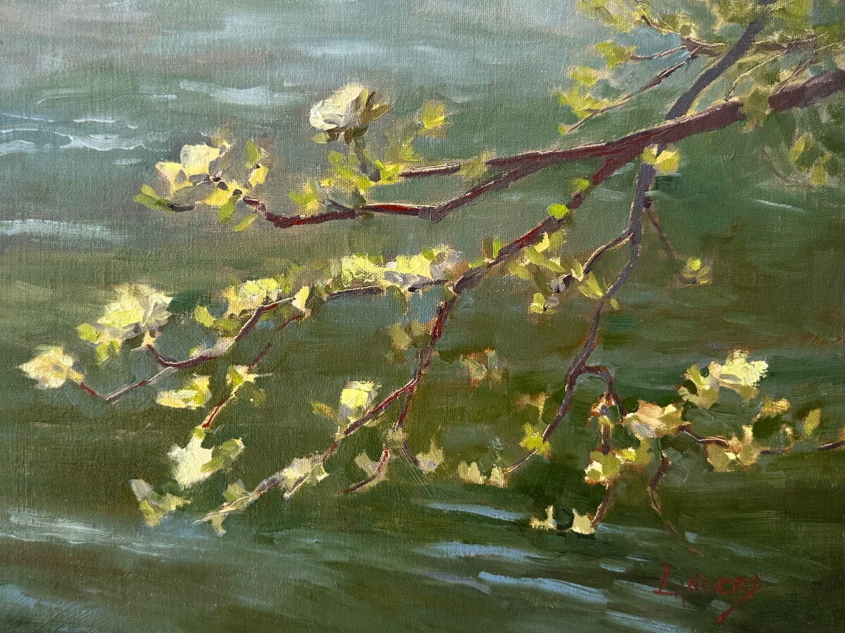 Teneya Creek with Dogwood, Yosemite