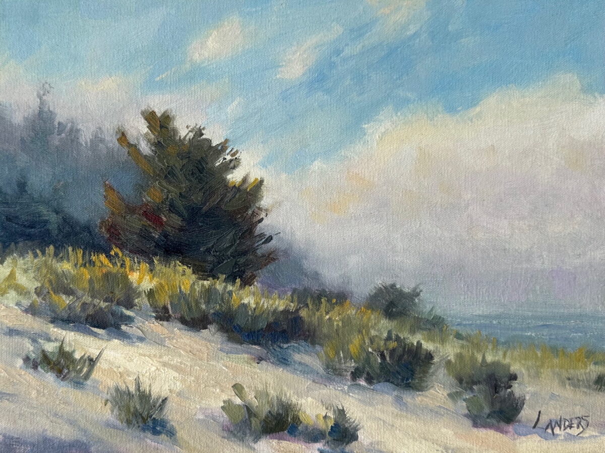 Morning, Humboldt Coast