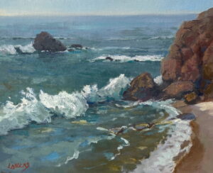 Marine Gardens Shoreline