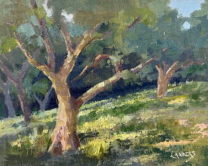 Oak Grove