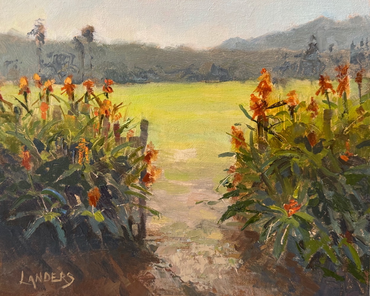 Hot Poker aloes