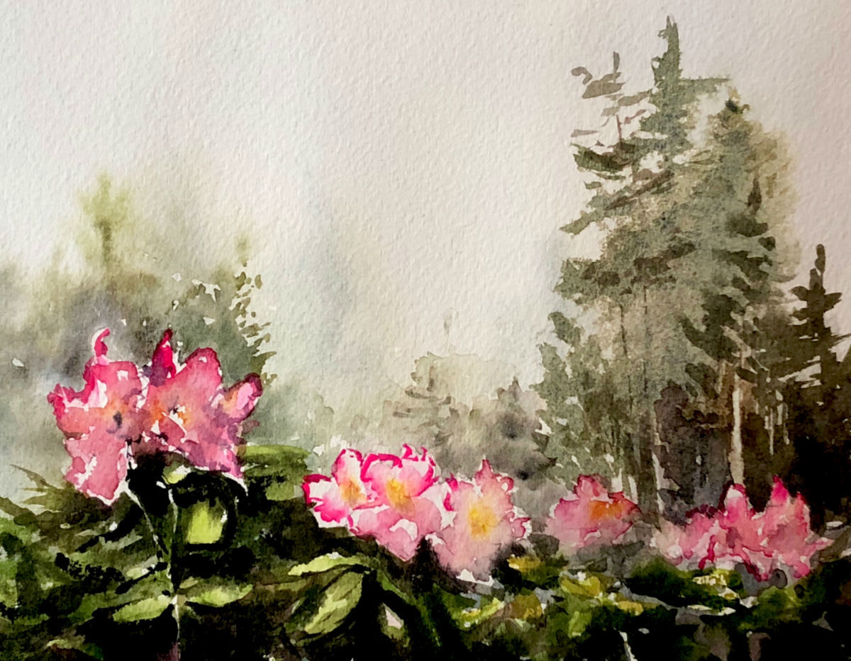 Rhododendron Second Bloom
