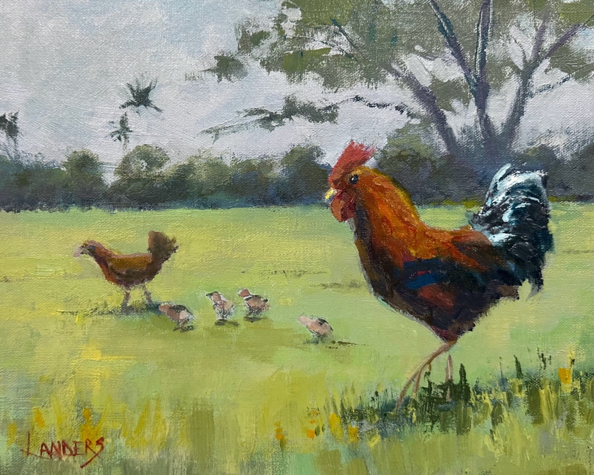 Spring Chickens, Kauai Style