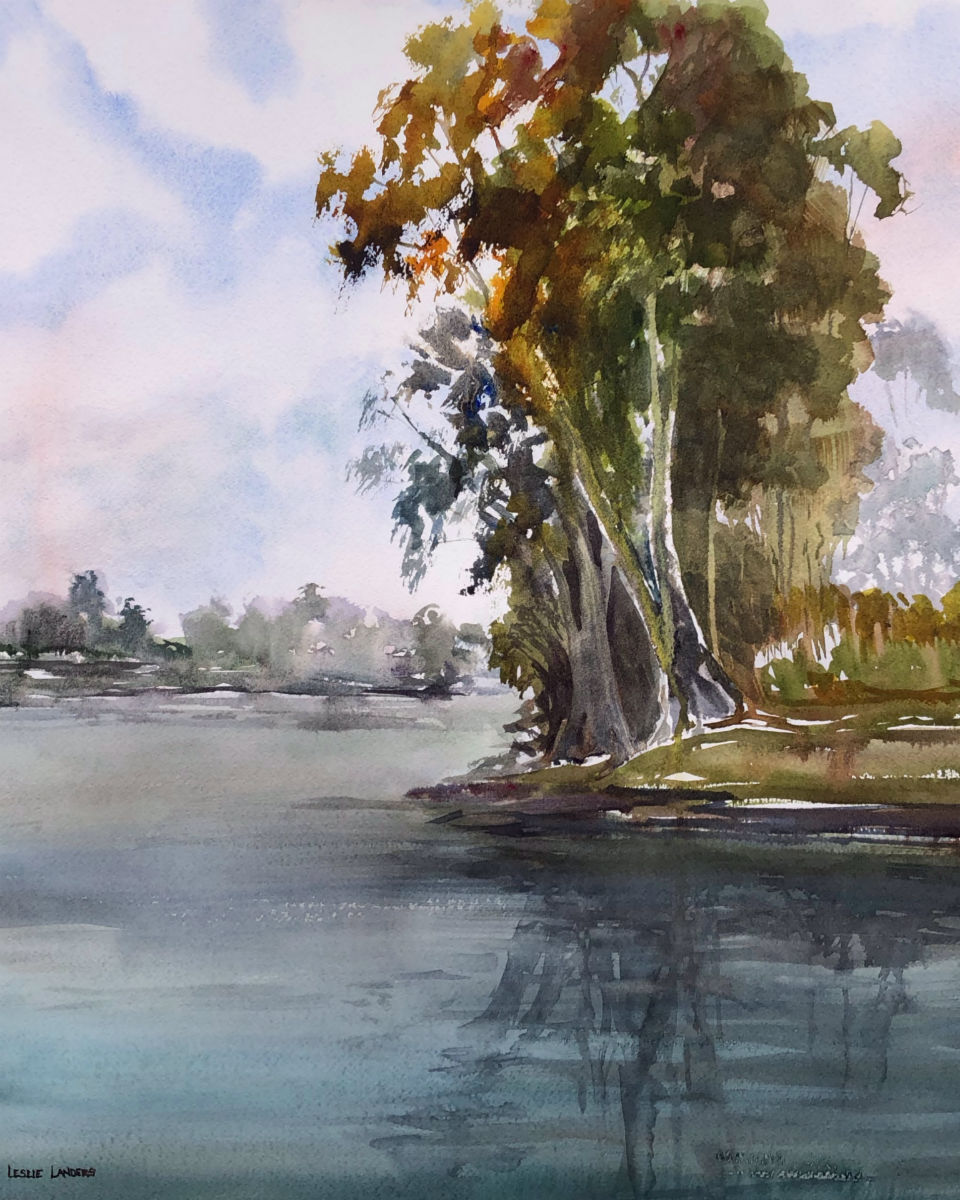 Lakeside Eucalyptus