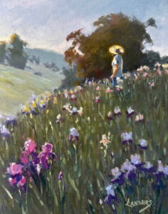 Sunshine and Iris Blooms